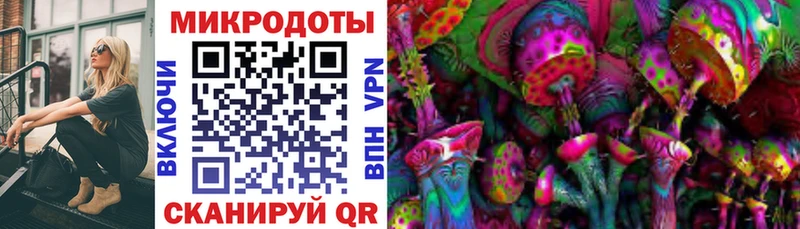 Галлюциногенные грибы мицелий Красный Кут