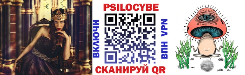 где купить наркоту  Красный Кут  Галлюциногенные грибы Psilocybe 