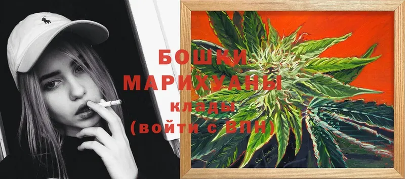 где купить   Красный Кут  Бошки марихуана SATIVA & INDICA 