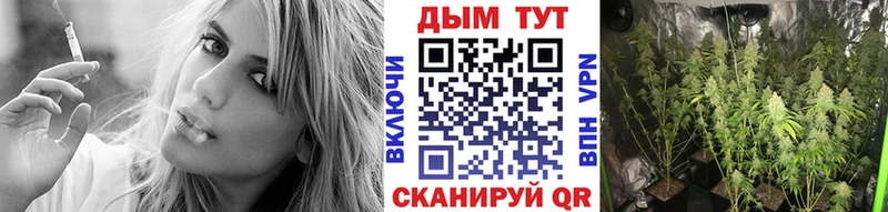 Конопля SATIVA & INDICA Красный Кут